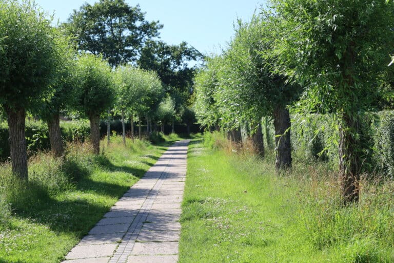 Hasseris – medlemsområdet